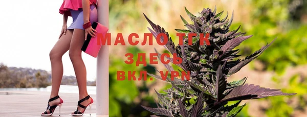 шишки Краснотурьинск