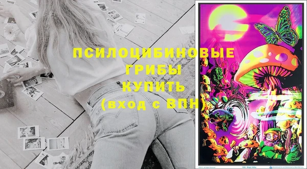 прущие грибы Беломорск