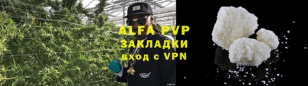 ПСИЛОЦИБИНОВЫЕ ГРИБЫ Белоозёрский