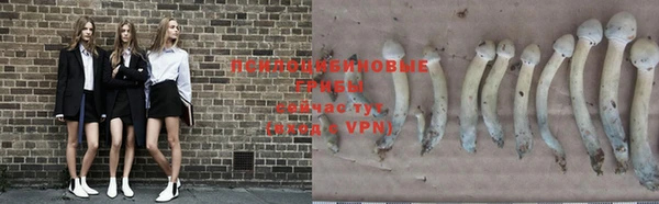 шишки Краснотурьинск