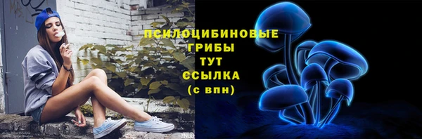 прущие грибы Беломорск