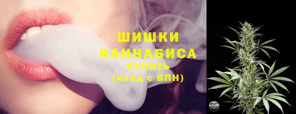 ПСИЛОЦИБИНОВЫЕ ГРИБЫ Белоозёрский