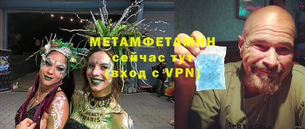 прущие грибы Беломорск