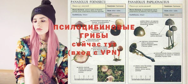 героин Краснослободск