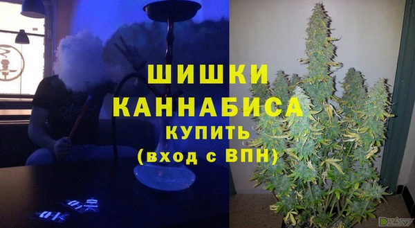ПСИЛОЦИБИНОВЫЕ ГРИБЫ Белоозёрский