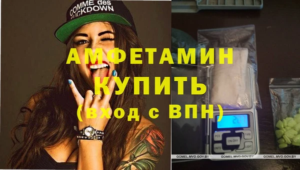 прущие грибы Беломорск