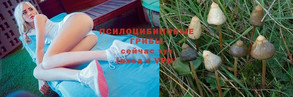 шишки Красноперекопск