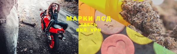 прущие грибы Беломорск