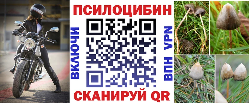 где купить наркоту  MEGA ТОР  Галлюциногенные грибы ЛСД  Белорецк 