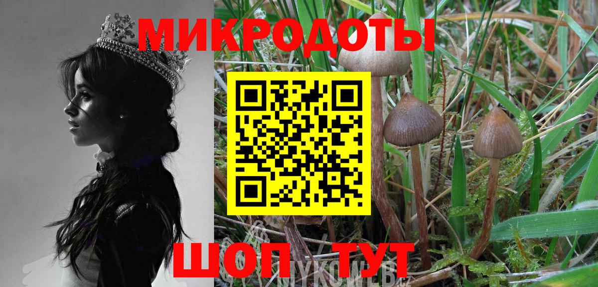 Псилоцибиновые грибы MAGIC MUSHROOMS  Белорецк  Псилоцибиновые грибы Psilocybe 